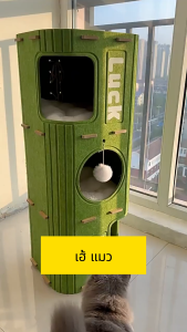 🌞บ้านแมว😺ปราสาทแมว ถังสักหลาด คอนโดแมว ตึกแมว บ้านมีรู 3ชั้น คอนโดแมวทรงกระบอกดีไซน์ญี่ปุ่น เฟอร์นิเจอร์พร้อม ลับเล็บแมว Good Day Mall