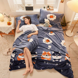 Thickened Winter Warmth Blanket Sheet Flannel