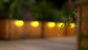 Solar Fence Lights Wall lihgts Outdoor Decorations 6 Pack Solar Deck Lights Outdoor Waterproof LED Solar Powered Step Lights Warm Yellow Light Decorative Lighting for Front Door Backyard Post(Black)