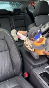 Chó quý tộc dễ thương phụ kiện làm đẹp nội thất ô tô gắn màn hình gạt mưa và cần số