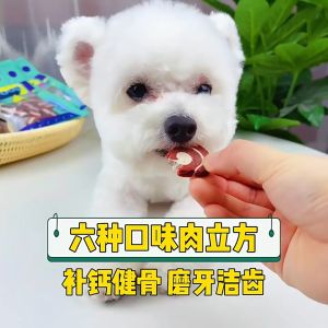 Premium Pet Snack / Puppy Treats / Dog Snack  Treat 60g  Dogs Treat  Snacks