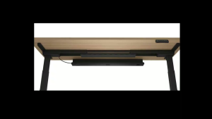 FLEXISPOT Malaysia - Cable Management Tray