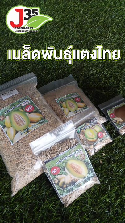 เมล็ดพันธุ์แตงไทยสิงคโปร 011 เนื้อเขียว เหนียว นุ่ม