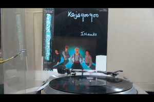 1 แผ่นเสียง 12นิ้ว j34 KAJA GOO GOO -ISLANDS แผ่นNM japan ริ้วรอยบาง เสียงรบกวนน้อยนิดไม่มีรอยลึก แผ่นล้างสะอาดแล้ว ปกVG++มีตำหนิขอบนิดหน่อย ขอบไม่ขาด สันไม่ทะลุ