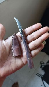 Alat Grafting okulasi tanaman / Cacah Aglaonema / Alat Cangkok Bahan Baja HSS