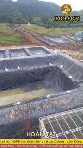 Bạt lót ao hồ HDPE 5m x 8m dày 0.5mm bảo hành 5 năm