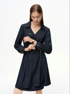 DUSHU | Fashion Commute Wrap Waist-Slimming Long Sleeve Dress
