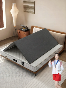 HAOZHU | Anti-Sag Support Board Lumbar Spine Protection Bed Plate