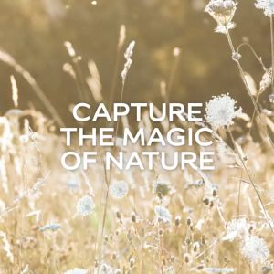 2549J** COFFEE ( 1L ) DULUX INSPIRE INTERIOR SMOOTH SHEEN PAINT