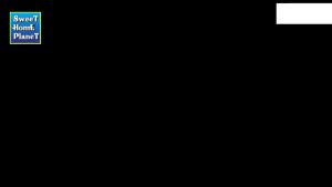 VISALAM I-Class Non Stick Gravy Pot With Stainless Steel Lid 2L 3L 4L Curry Pot Periuk Kari Cookware Pot