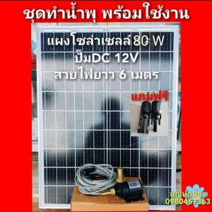 ปั๊มน้ำโซล่าเซลล์พร้อมแผงโซล่าเซลล์ 80W สายไฟยาว 6 เมตร ใช้ทำน้ำพุ สระน้ำ ขนาดเล็ก