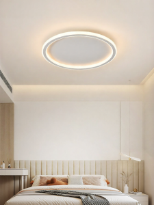 DGY | Ultra-thin Eye-protecting Contemporary Simple Ceiling Light