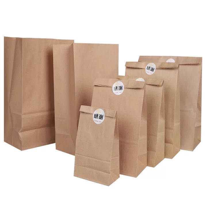 100pcs Brown Paper Bag Kraft Bag #2 #4 #6 #8 Sympathy Gift Bag