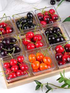 HANXUANMIAOYI | Realistic Cherry Model Props