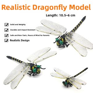 Educational Insect Model Toy