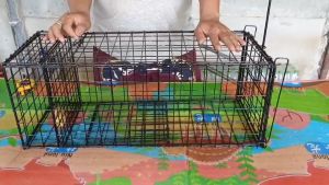 กรงดักพังพอน ดักอีเห็น ดักซิ่งกวัก ดักซิ่งกระปูด กรงกว้าง 26 เชน ยาว67 เชนสูง 26 เชน ผลิตภัณฑ์เสริมสวยพริ้นนู้และง่ายติดเร็ว ร่วมกับโครงสร้างแข็งแรงสำหรับความสวยงามและความงาม