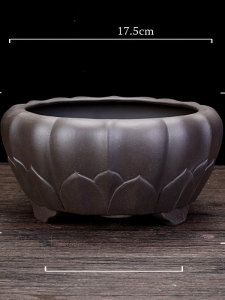 Purple Sand Flower Pot Boutique Circle and Creative Lotus Shaped Flower Pot Diospyros Armata Banyan Old Pile Balcony Florals Green Plant Landscape