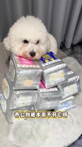 Dono | Dogs Disposable Diapers for Male