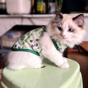 Cat Clothes Summer Thin with Shoulder-Straps Anti-Lint Summer Kittens Vest Ragdoll Blue Cat Puppy Dog Sun Protection Shirt