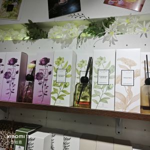 Indoor Aromatherapy Display Stand Green Leaf Orange Flower Bulgarian Rose Fragrance Camellia Fragrance Essential Oil Diffuser