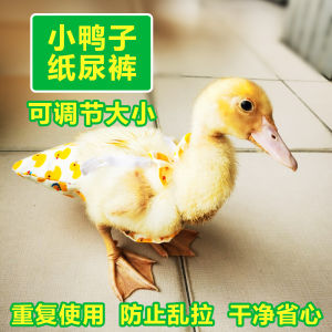 Pet Duck Diaper Cole Duck Chicken Goose Diaper Diaper Washable Shit Urine Pocket Adjustable Baby Diapers Clothes