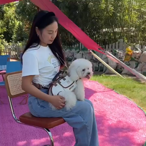[SG Ready Stock]Portable Dog / Cat Carrier Bag With Leash Comfortable Soft Dog Pet Carrier Park Walks Backpack Travel