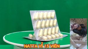 Gà chậm tiêu ăn không tiêu gà chướng diều Giúp Gà Ăn Tốt Tiêu Hóa Nhanh.Hấp Thụ Chất Dinh.Kích Thích Miễn Dịch Đường Ruột.NATTA Thái Lan 15VIÊN