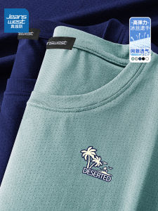 Jeanswest Ice Silk Short Sleeve T-Shirt Mens Summer 2024 Quick Dry Thin Loose Fashion Top Polyester Spandex Blend round Neck