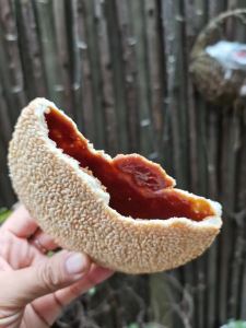 Handmade Packaging Sesame Biscuit with Red Sugar And Pepper Salt Snacks Sichuan Special Products Breakfast Suitable Treats