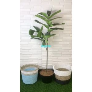 Pohon Plastik Tanaman Artificial Ketapang X2 T120 Latex Cover Pot Seagrass Handle Dekorasi Ruang Tamu