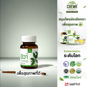 Chewa ชีวา [ชาเชียงดา 2 กล่อง] เชียงดา ออร์แกนิก ผสมใบหม่อนและดอกคาโมมายล์ ชนิดชาชง