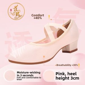 Ballet Style Soft Bottom Mid Heel Dance Shoes