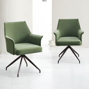 DUOBAOFUXING | Modern Minimalist Green Cat Scratching Leather Luxury Chair