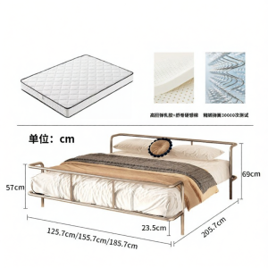DMX | Modern Minimalist Iron Bed 1.5m