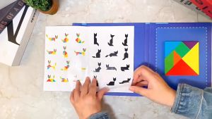 Đồ chơi tangram có nam châm - xếp hình trí uẩn kèm hướng dẫn cùng bé sáng tạo