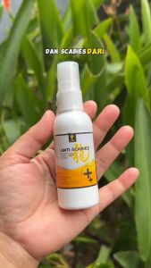 Solusi Cerdas untuk Mengatasi Gatal, Kutu, dan Parasit pada Kucing