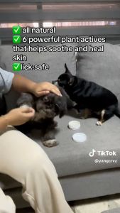 Pet Goodness All Natural Pet Balm 50g - Soothes Heals Skin Problems Safely with Neem Lavender Madre de Cacao Aloe Vera Coconut Oil & Citronella 100% Lick-Safe for Wound Healing