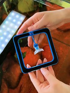 Ring Feeder Kotak Bulat Wadah Pakan Aquarium Tempat Makanan Ikan Floating Feeding Plastic Circle Square