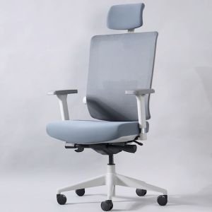 ERGONOMATE เก้าอี้เพื่อสุขภาพ รุ่น Roosevelt ที่รองหัวปรับได้ พนักพิงปรับเอน 4 ระดับ ที่วางแขน 4D ปรับเลื่อนเบาะนั่งได้ ตอบโจทย์คนตัวใหญ่พิเศษ