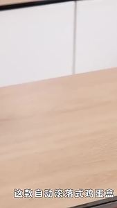 ELLE 2-Layer Rolling Egg Box: A Compact Egg Storage Solution