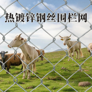 XINDINGHAO | Galvanized Rustproof Wire Mesh