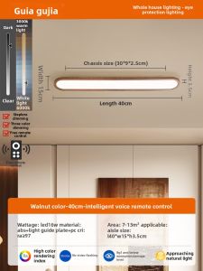 GUJIA | Vintage Thin Overhead Light