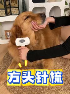 7o | Detangling Pet Grooming Brush