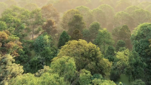 ‌เครื่องปรับอากาศขนาดเล็ก พัดลมคาดเอวแบบแขวน ลมแรงพิเศษ ระบายความร้อนเร็ว อุปกรณ์ทำความเย็นแบบพกพา ใช้กลางแจ้ง ฤดูร้อน คลิปหนีบรอบเอว สะดวกพกพา