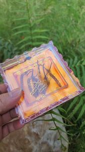 Hộp 8 con nhỏ Đông Trùng Hạ Thảo Tây Tạng khô thiên nhiên loại 1gram trung bình 5 con