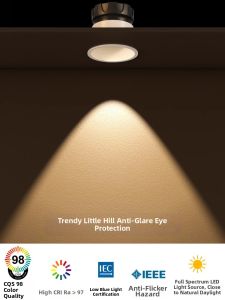ZAGE | Low Blue Light Eye Protection LED Wall Wash Downlight