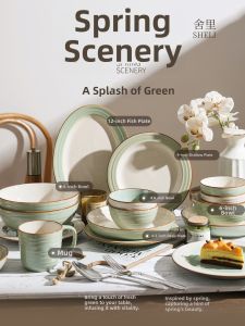 SHELI | Luxury New Elegant Ceramic Rice Bowl