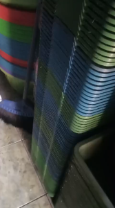 ( isi 12 pcs ) keranjang Roti Wadah Surat bola dunia multifungsi serbaguna