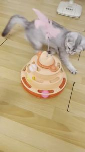 [FULL BOX] Đồ Chơi Tháp Banh 3 Tầng Nhiều Màu - Đồ Chơi Cho Chó Mèo