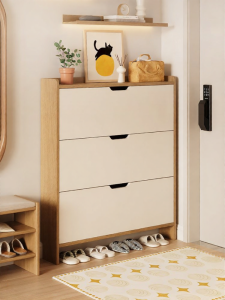 ZHUSHANXIA | Ultra-thin Shoe & Storage Cabinet